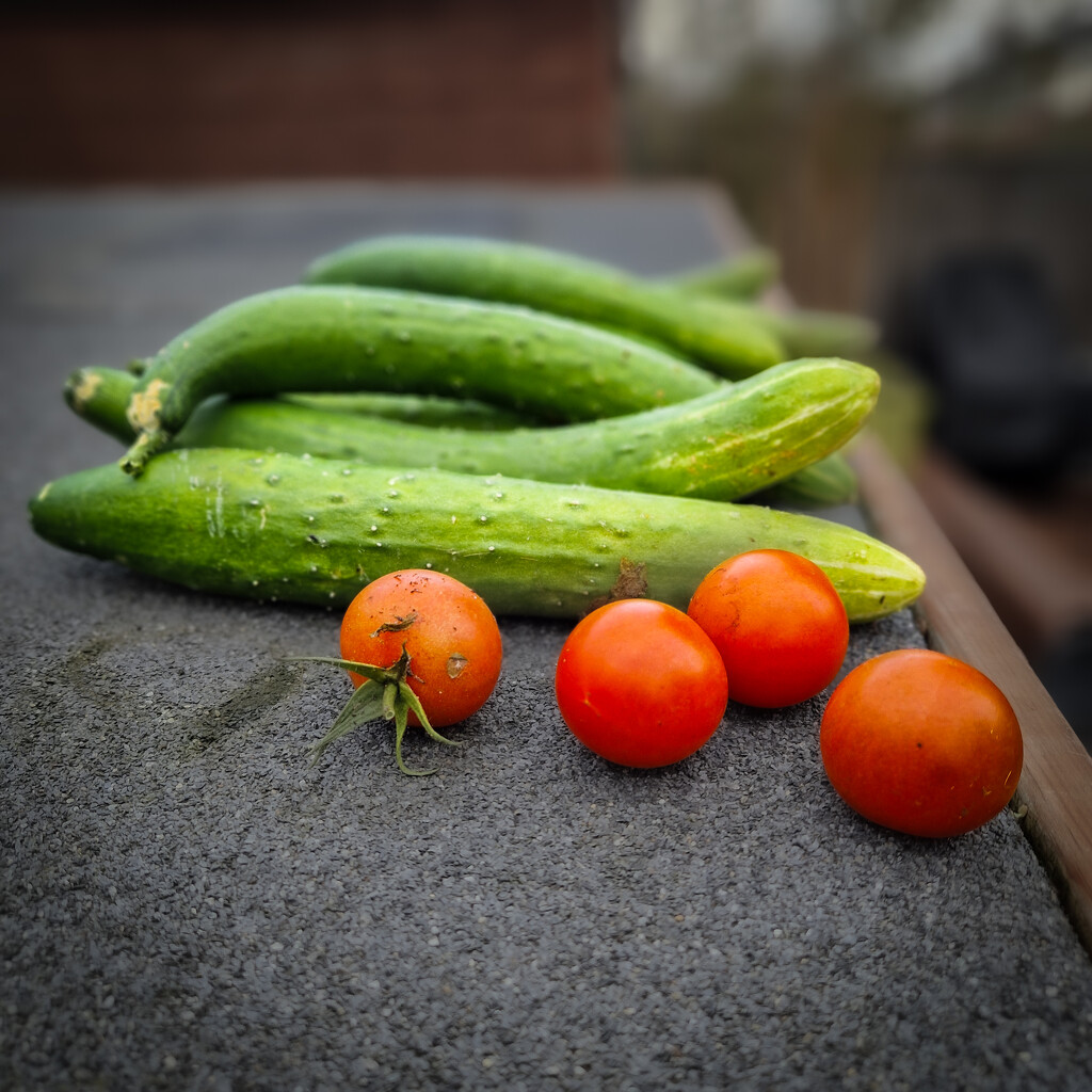 The last harvest ... by andyharrisonphotos