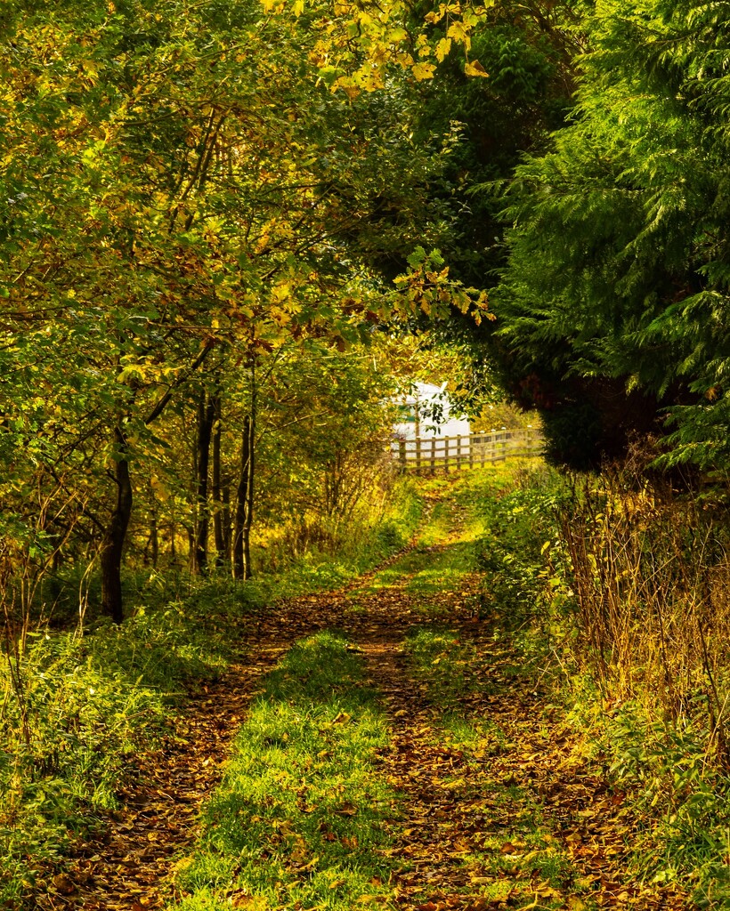 Light at the end of the track….. by billdavidson