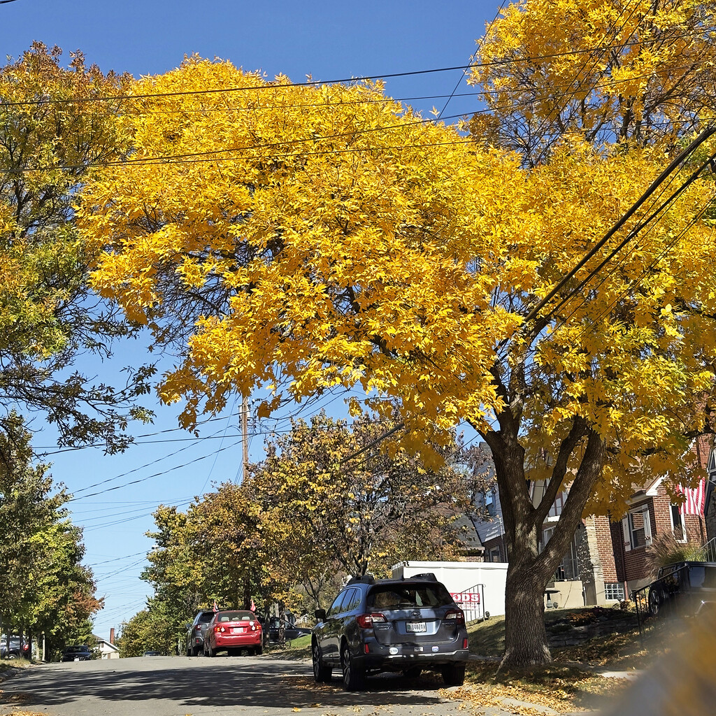 A Beautiful Day In The Neighborhood by yogiw