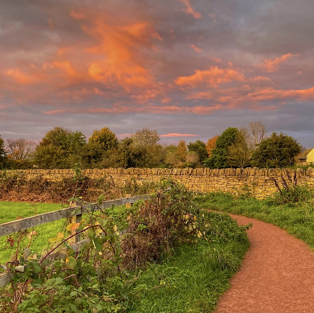 The Pathway Home by cmf