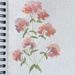 Valerian, watercolor