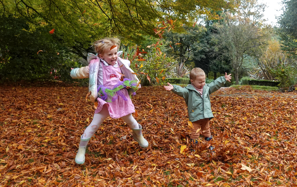 Autumn Fun  by phil_howcroft