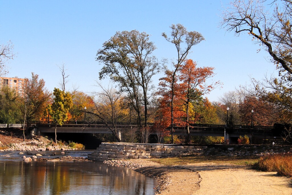 Colors Along The Creek by randy23