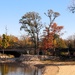 Colors Along The Creek