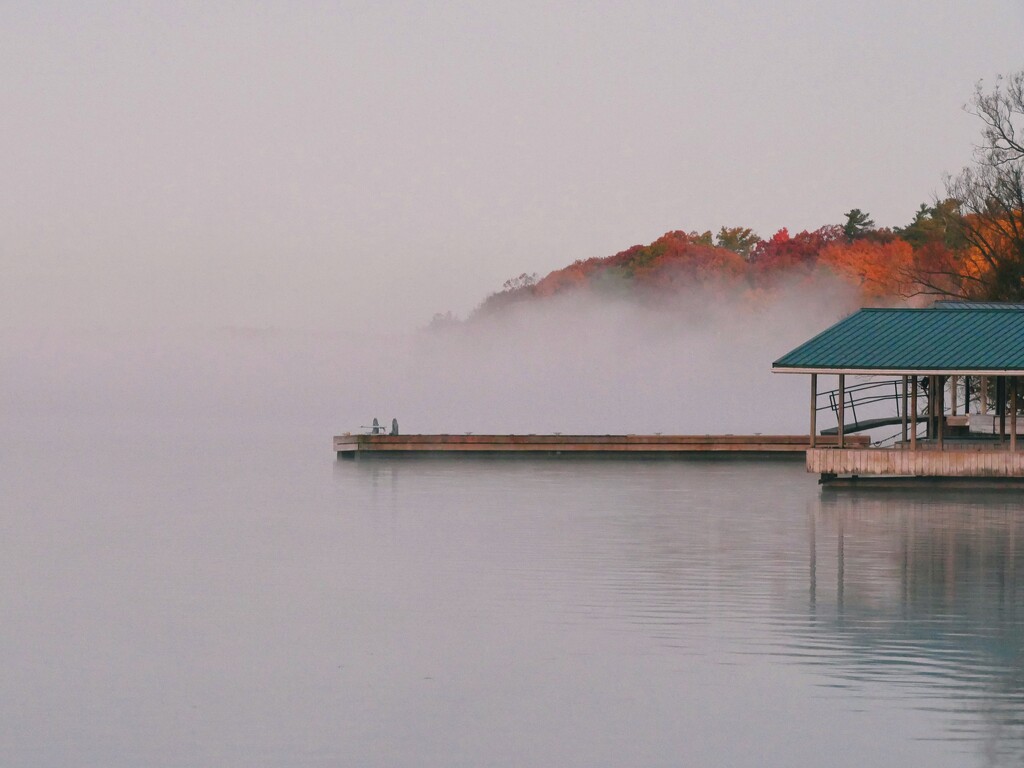 And then the fog rolled in… by ljmanning