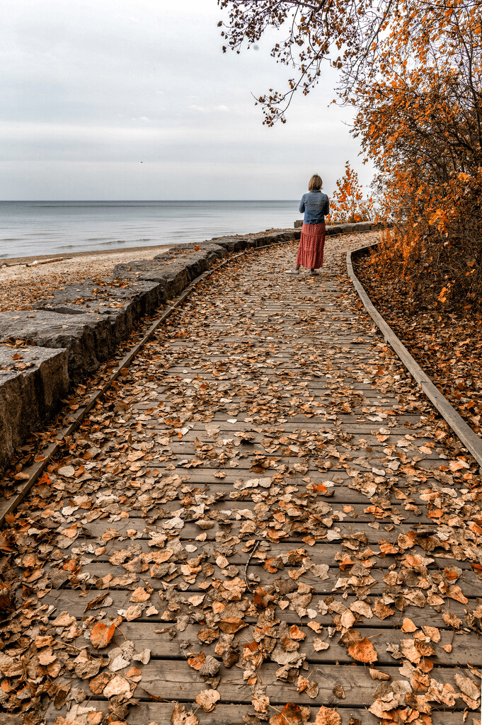 Autumn Walk by pdulis