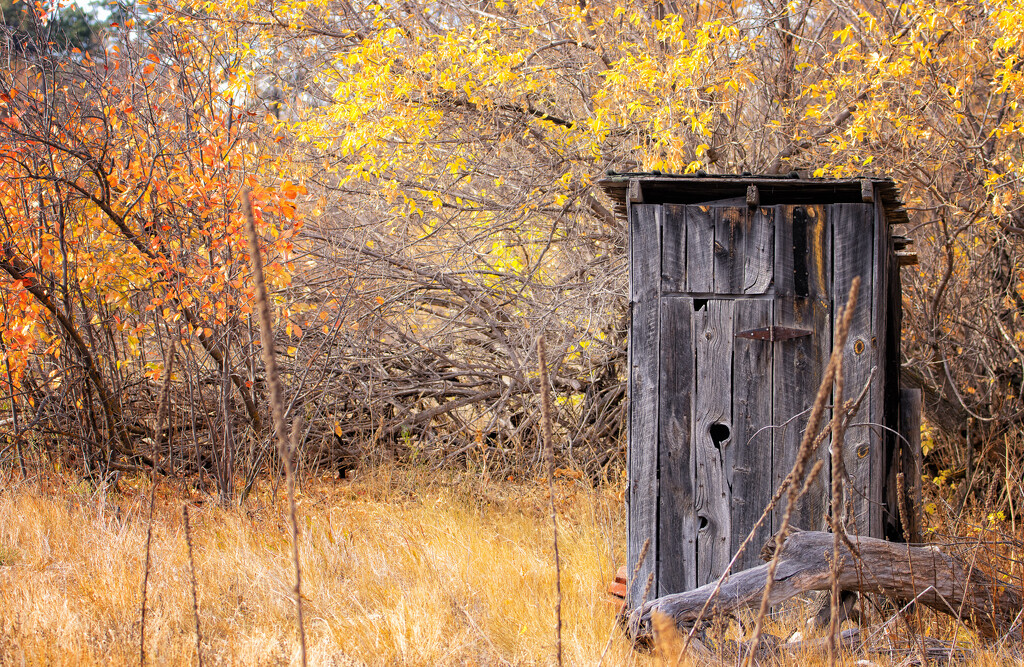 outhouse by aecasey