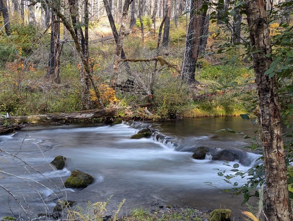 Riverside Trail along the Clackamas River, Estacada, Or by teiko