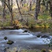 Riverside Trail along the Clackamas River, Estacada, Or