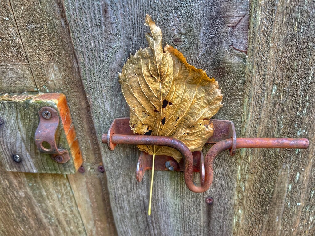 on the gate by amyk