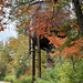 Old Water Tower