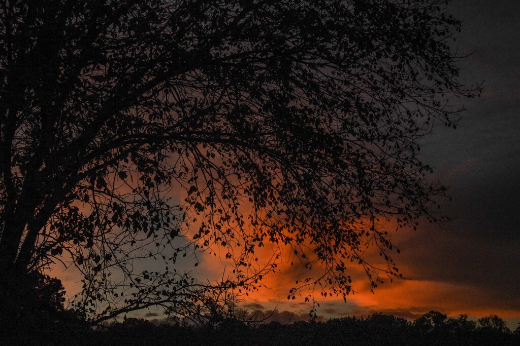 Kansas Sunset 10-20-24 by kareenking