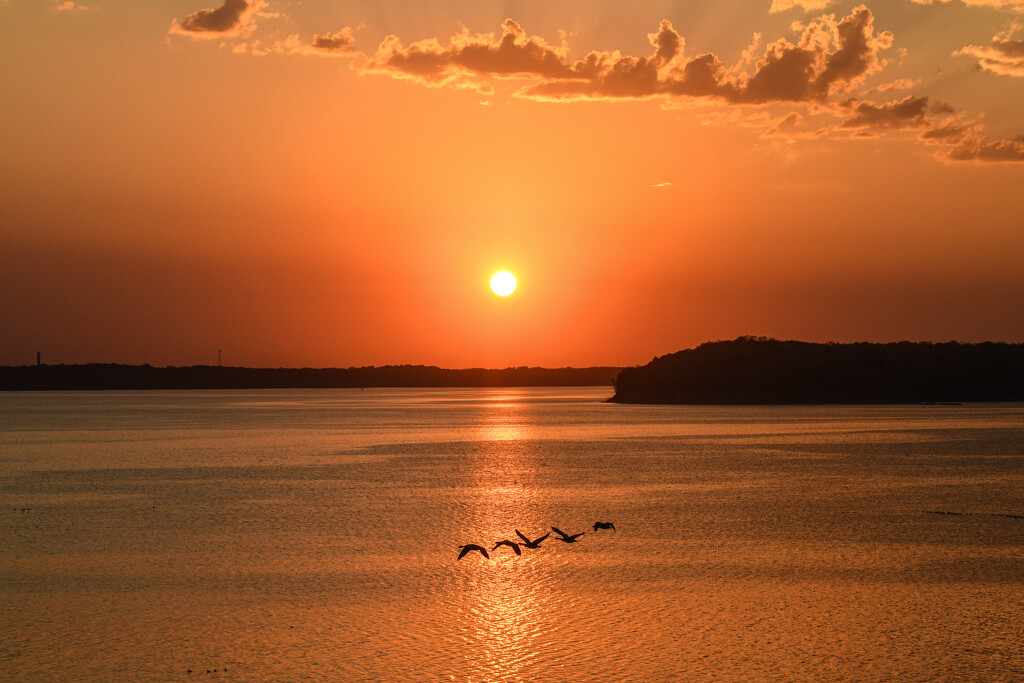 Floating over Water by kareenking