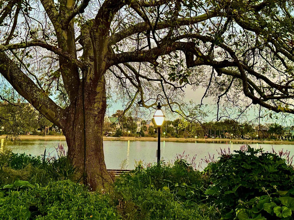 Colonial Lake Park by congaree