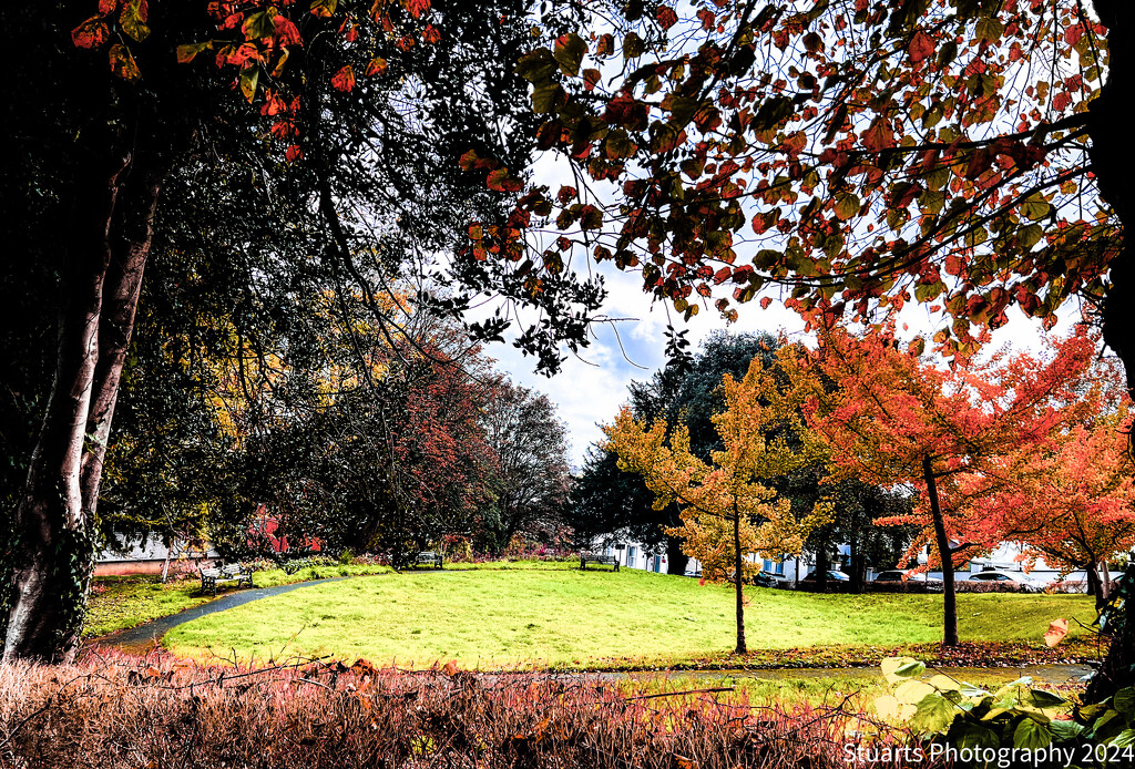 Park life  by stuart46