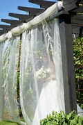 20th Oct 2024 - Louise’s Garden Wedding 