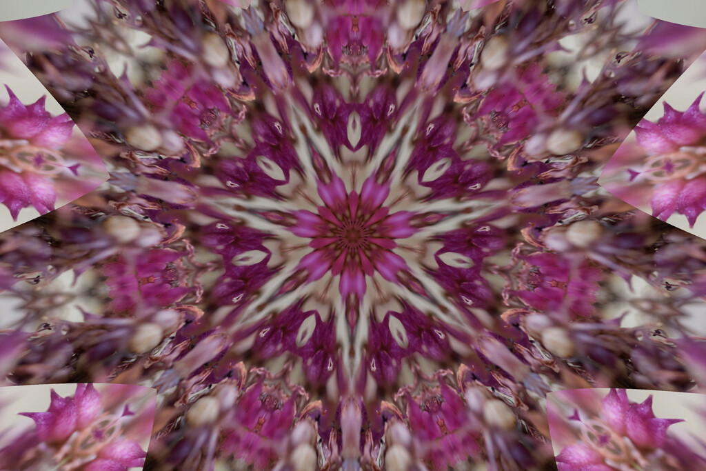 Kaleidoscope  by dragey74