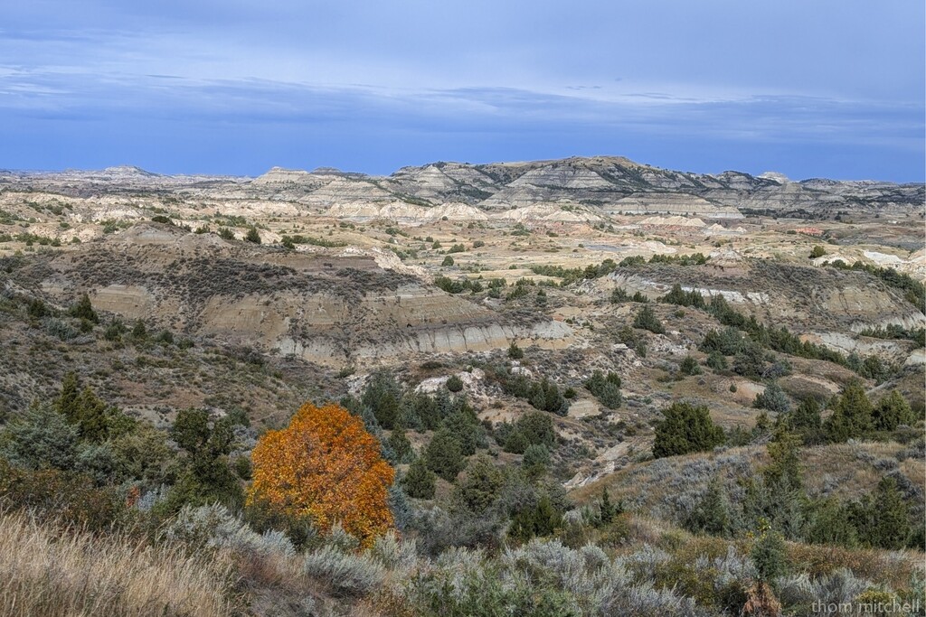 Painted Canyon, Theodore Roosevelt National Park by rhoing