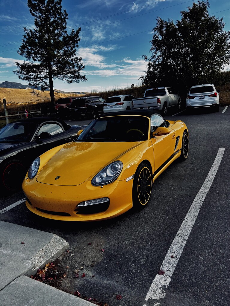 Porsche S by colewallace