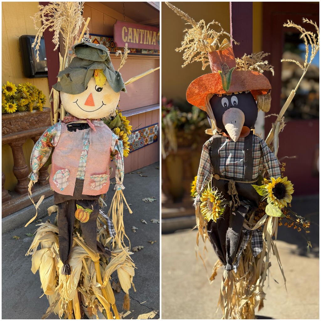 Two Scarecrows by shutterbug49