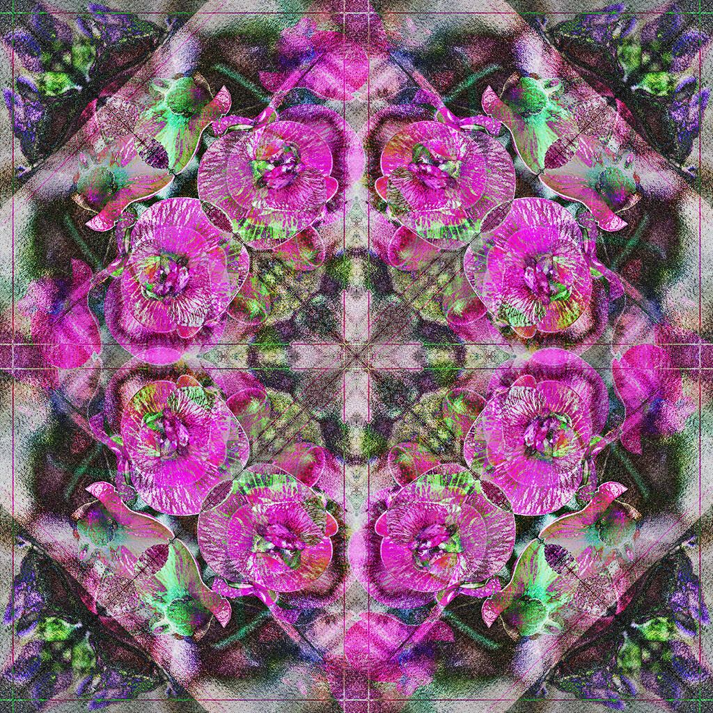 Sweet Pea Kaleidoscope by gardencat