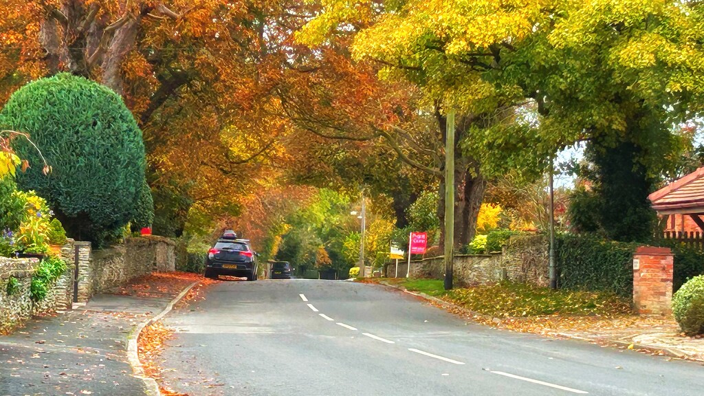 Autumnal Road by carole_sandford