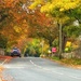 Autumnal Road