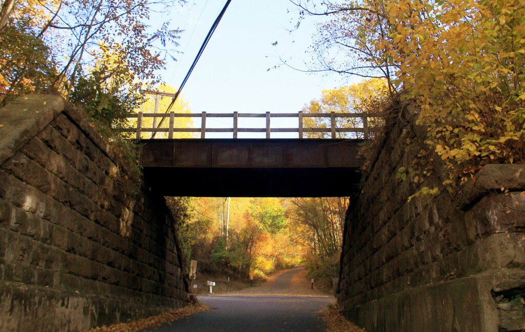 Rails To Trails by digitalrn