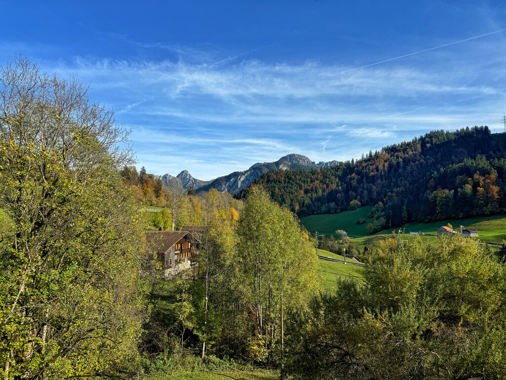 Autumn in the mountains.  by cocobella