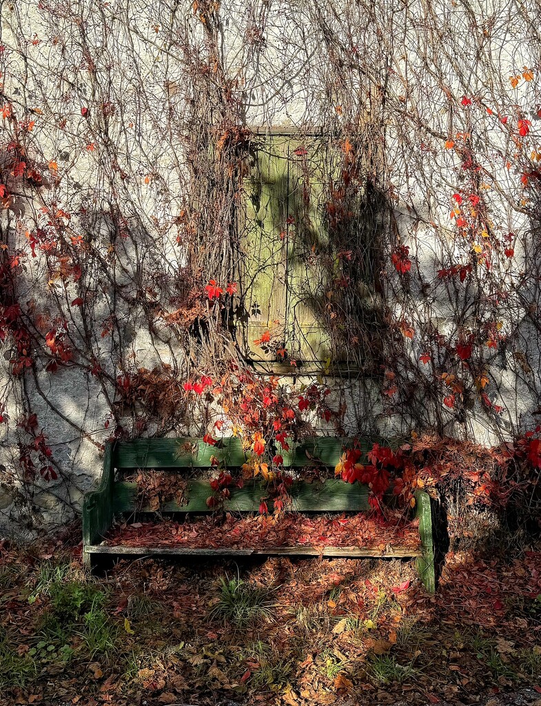 The disappearance of a bench.  by cocobella