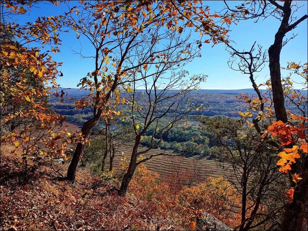 Another View from the Cliff Trail by olivetreeann