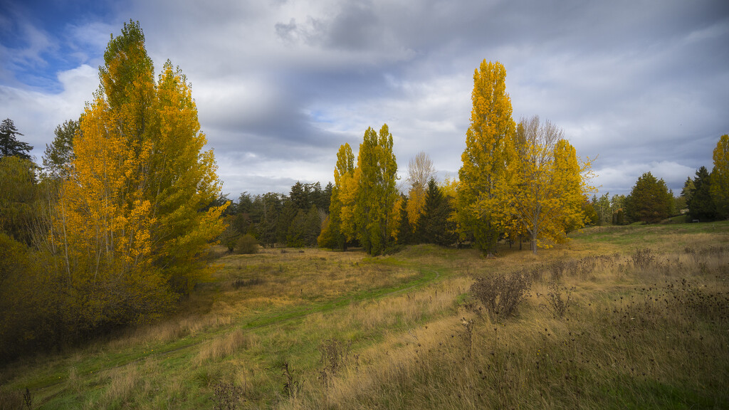 Fall Colours by cdcook48