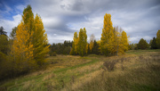 26th Oct 2024 - Fall Colours