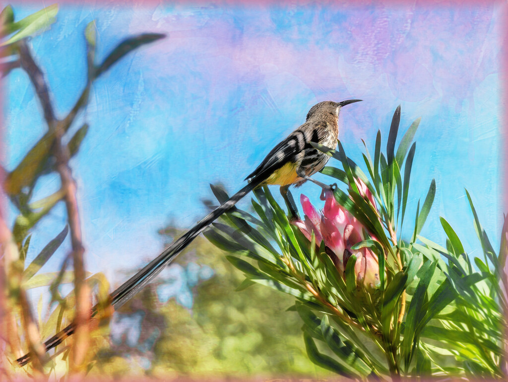 In the same garden by ludwigsdiana