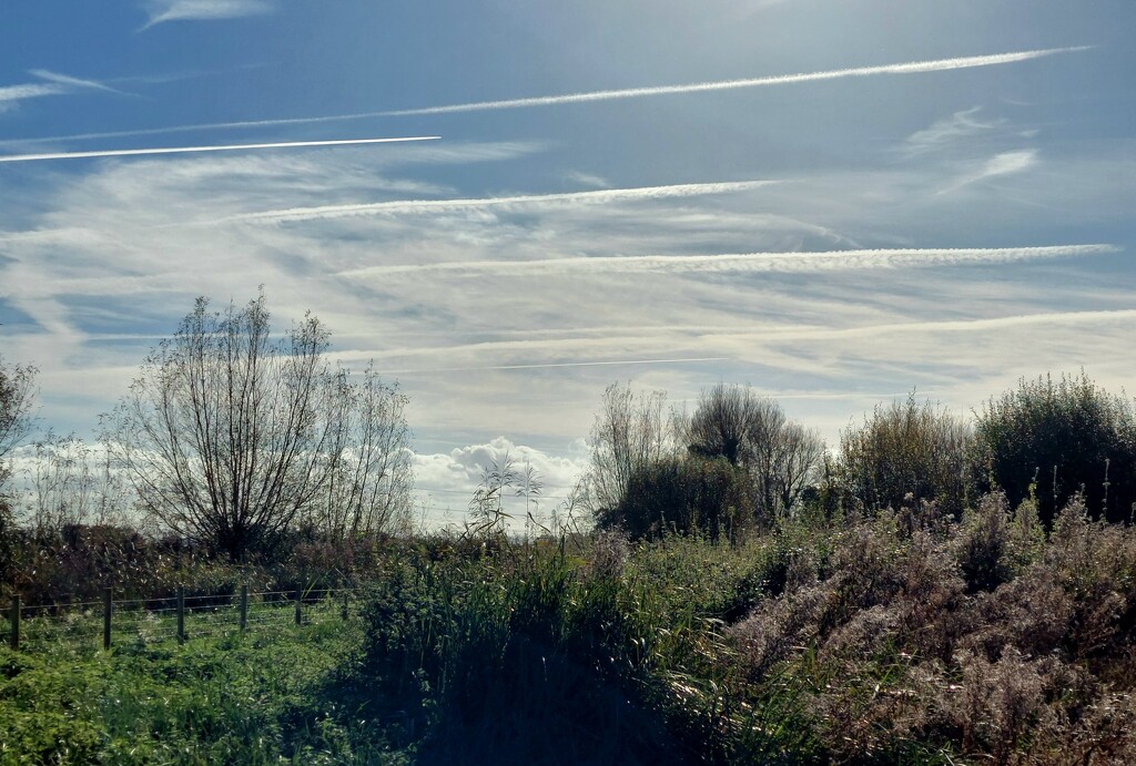 Stripy skies by samcat