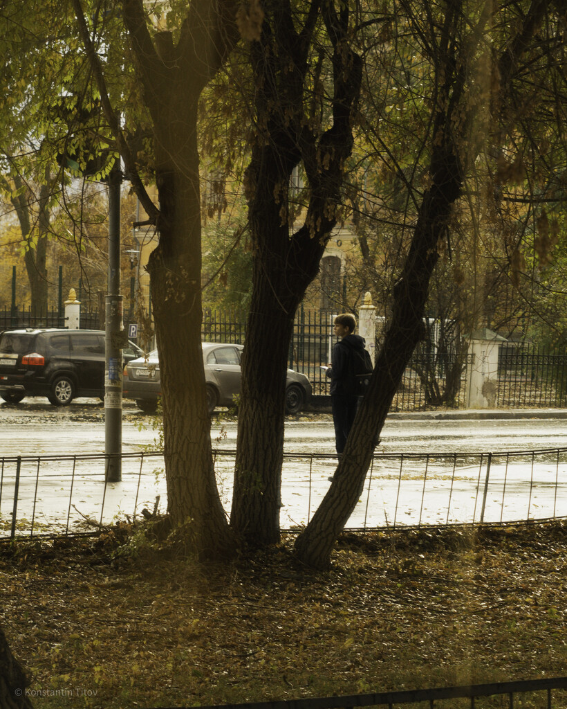 Boy and rain  by konstantintitov