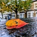 Autumn on a car roof