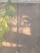 27th Oct 2024 - Sunlight and Shadow