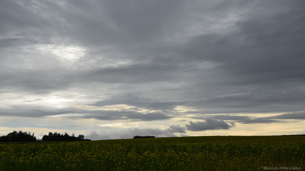 October by parisouailleurs