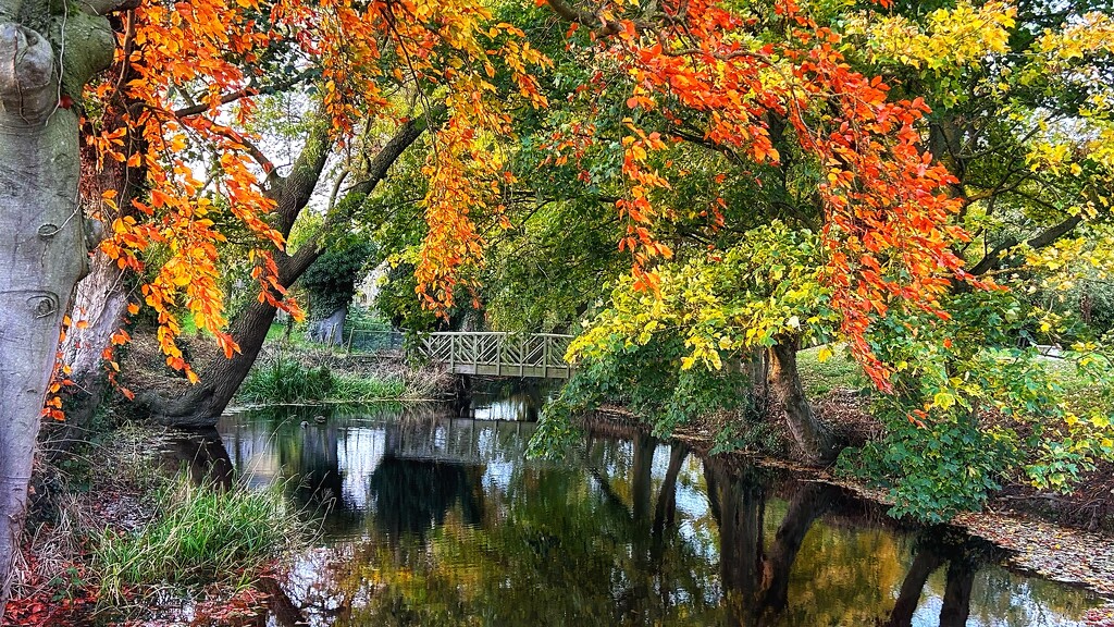 Autumn at the Moat by carole_sandford