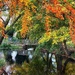 Autumn at the Moat