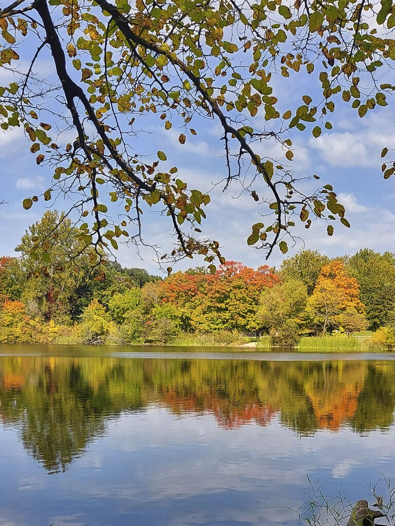 Pond at Norte Dame by judyc57