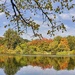 Pond at Norte Dame