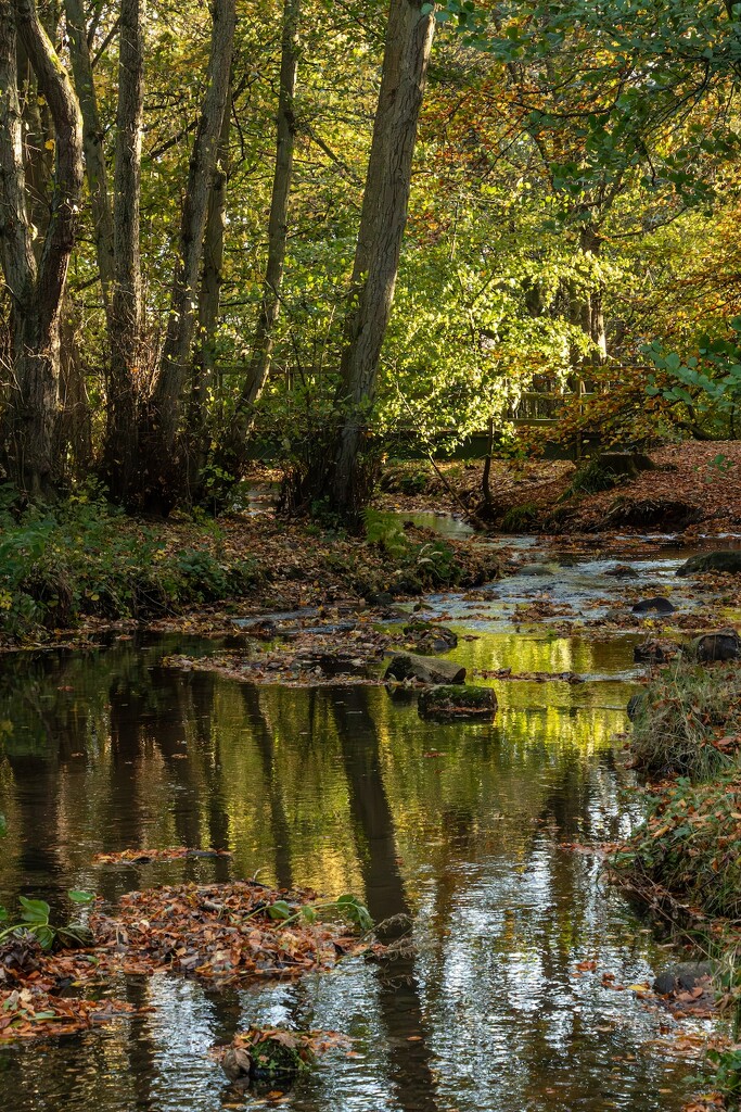 Light and reflections…… by billdavidson