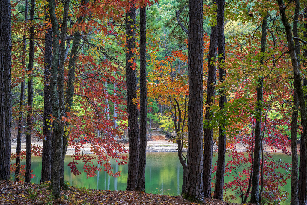 View from the Iron Hill Trail by kvphoto