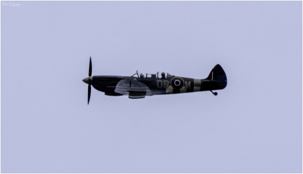 Spitfire  by pcoulson