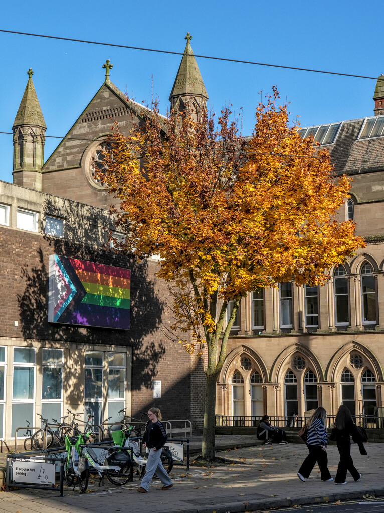 Campus Autumn Colours by phil_howcroft