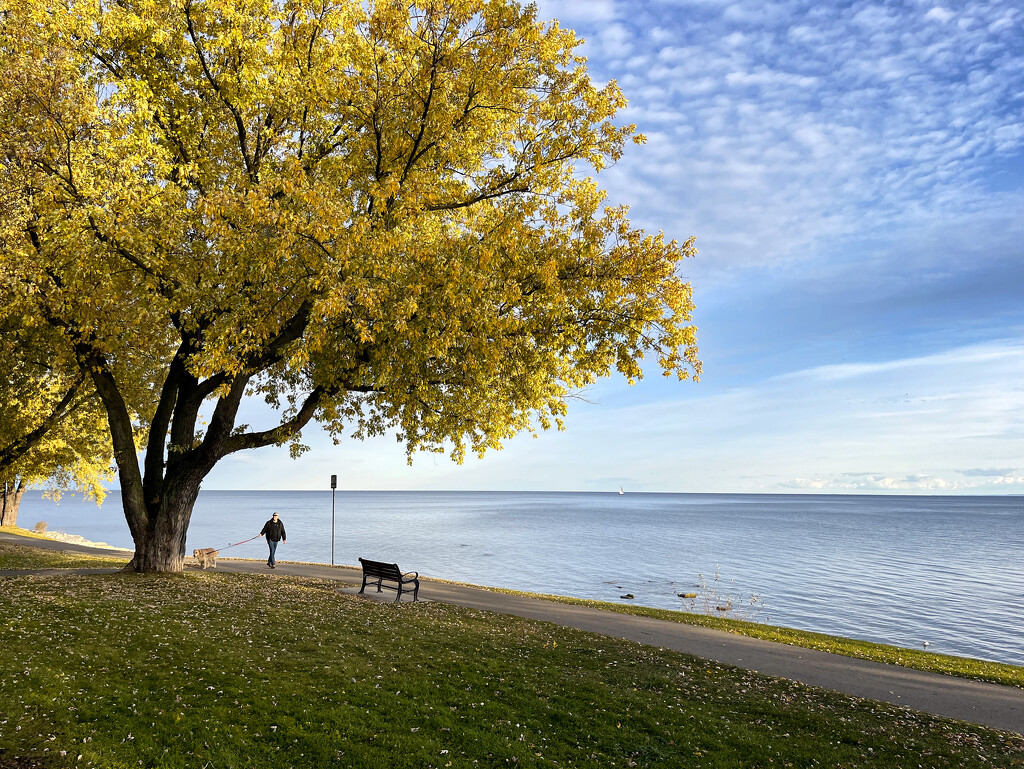 Waters Edge Autumn Walk by pdulis