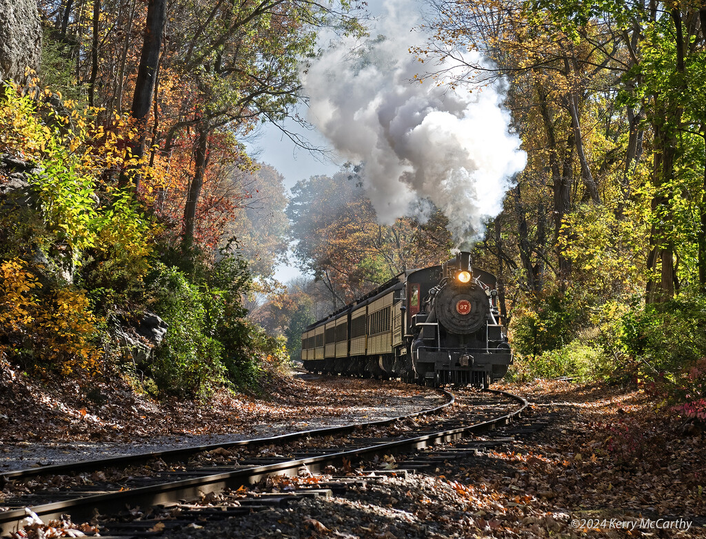 Essex Steam Train by mccarth1