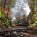 Essex Steam Train by mccarth1